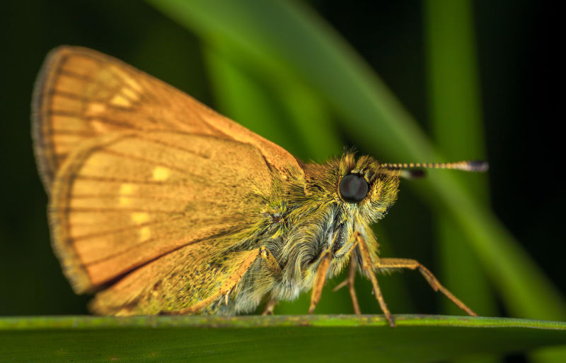 Kiwi technology — changing how we detect disease