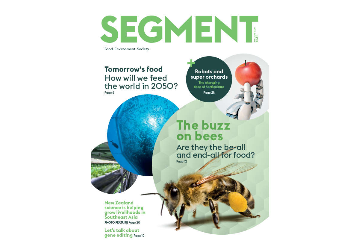 Segment cover edition 1 wide