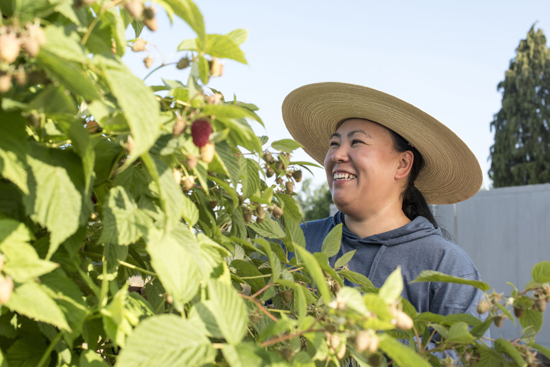 Dr Lisa Jones: Breeding better berries