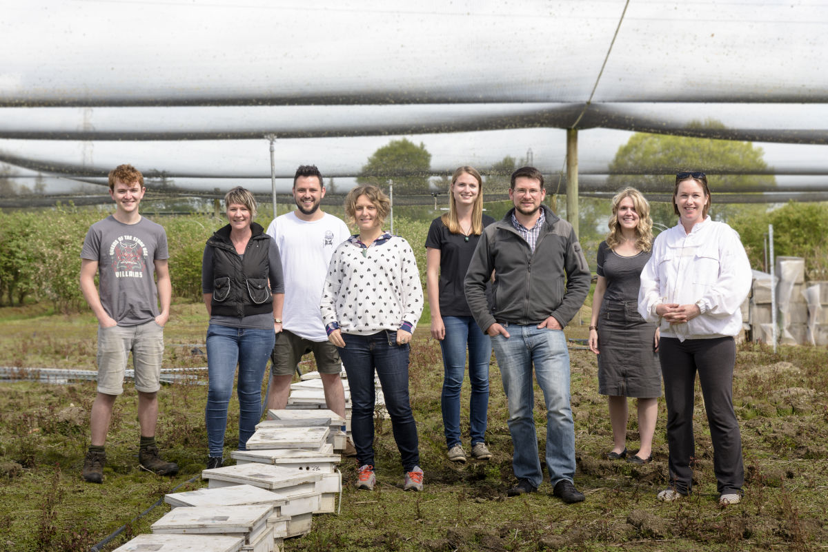 Pollination and Apiculture team