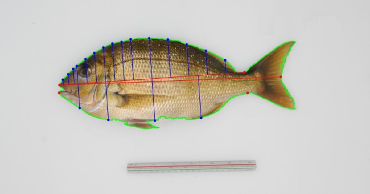 Morphometric Software™ for automated image analysis · Plant & Food Research