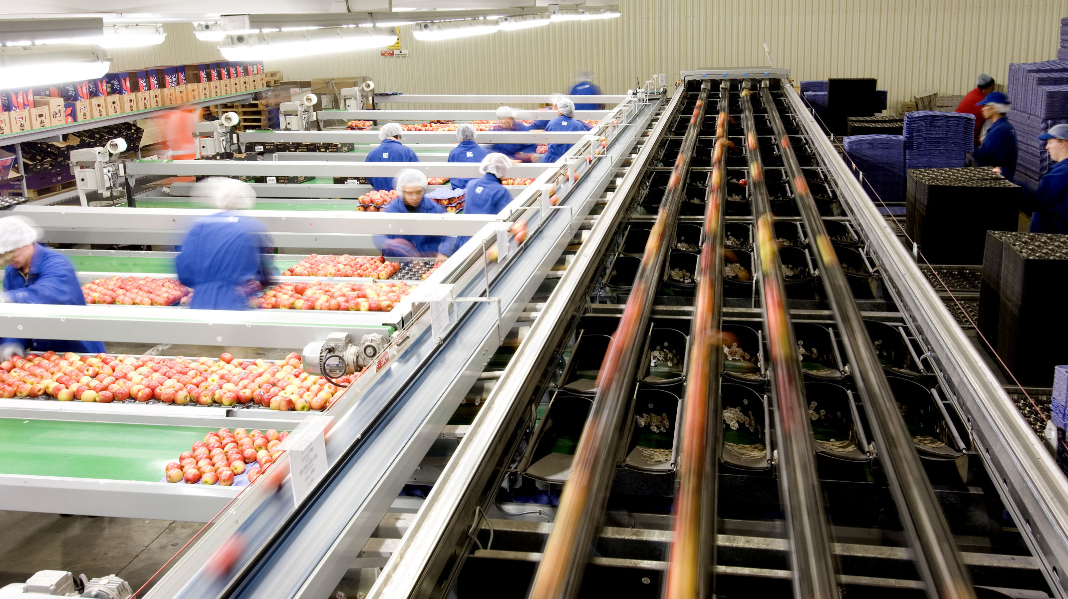 Dual laser technology for sorting produce