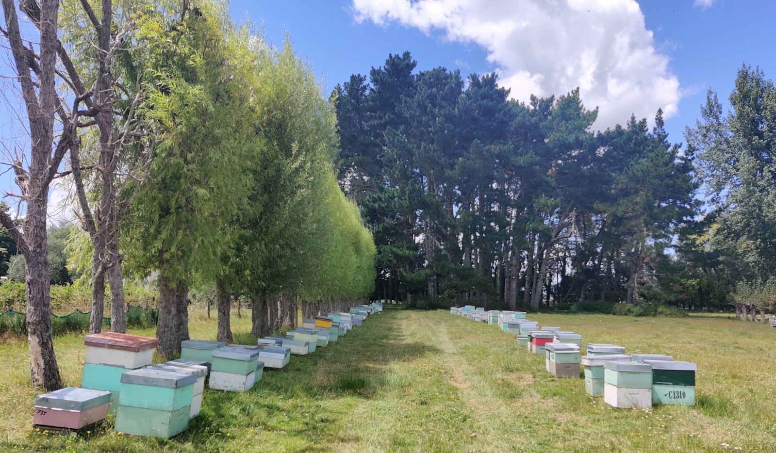 Arable crops · Plant & Food Research