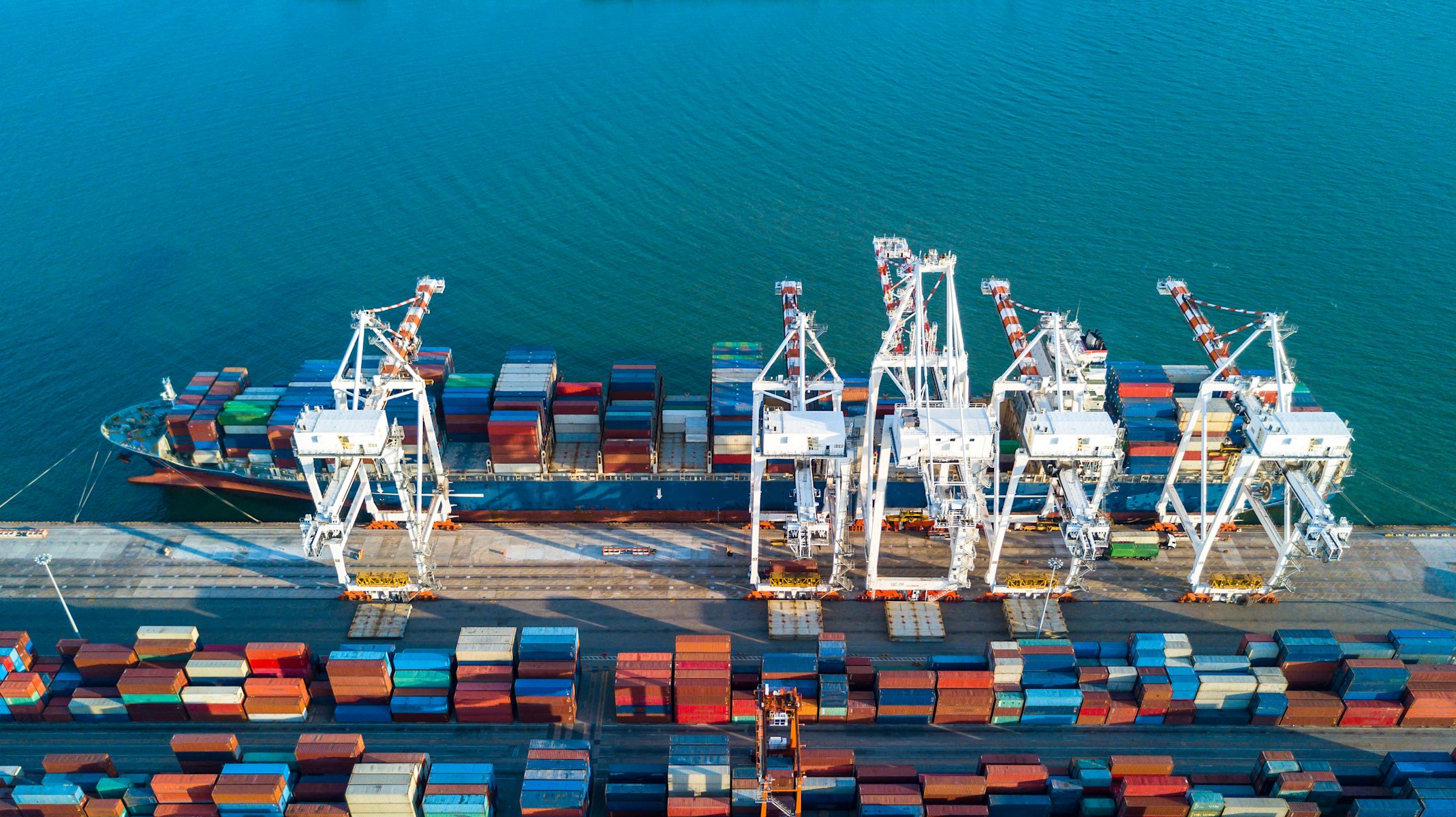Bioeconomy Science Institute led research secures over $20m to transform NZ's bioeconomy