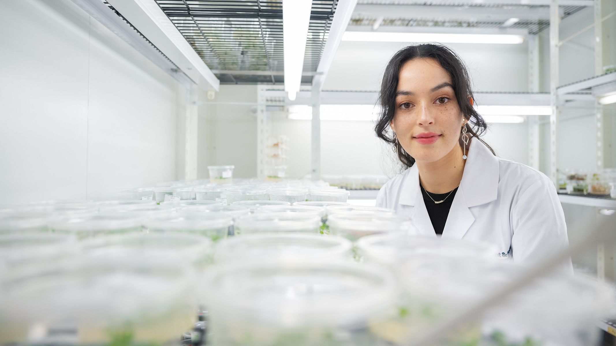 Using AI to help create new plant proteins