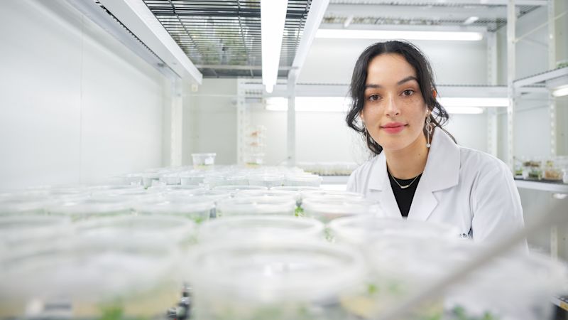 Using AI to help create new plant proteins
