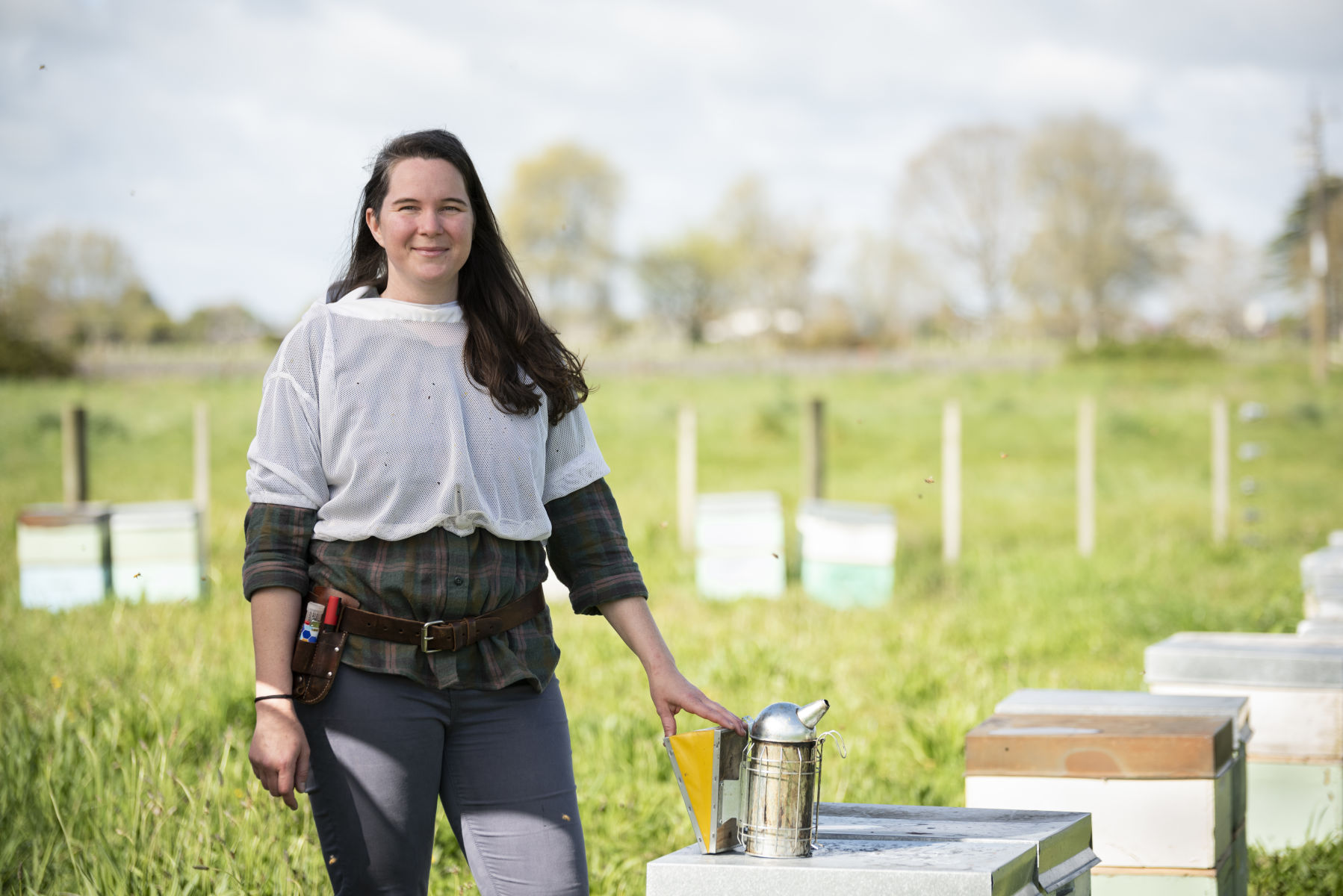 Understanding non-lethal effects of pesticides on honey bees