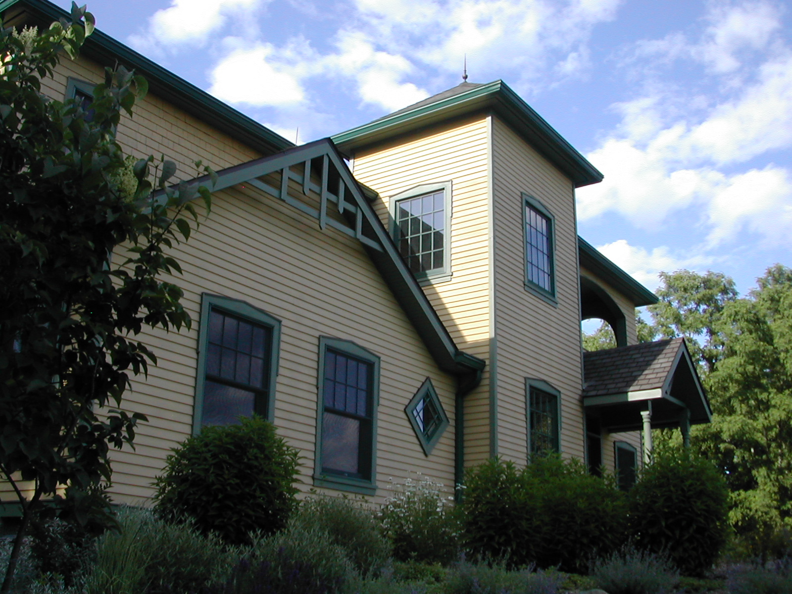 Shultzville Queen Ann