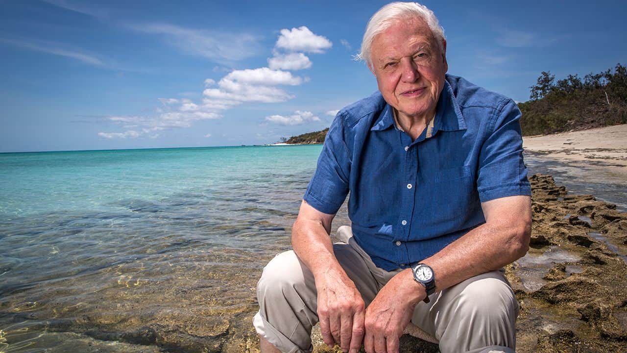 David Attenborough at the Great Barrier Reef presenting. 