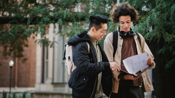 Multiethnic males looking through papers