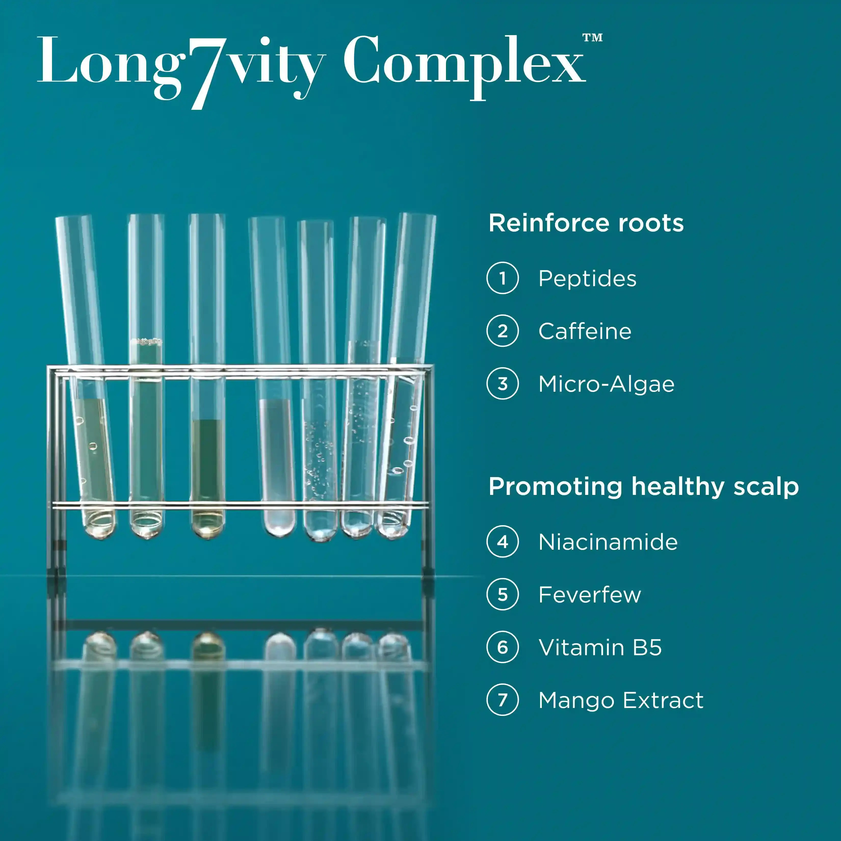 Long7vity Complex™: Reinforce roots with peptides, caffeine and micro-algae. Promoting healthy scalp with niacinamde, feverfew, vitamin B5, and mango extract