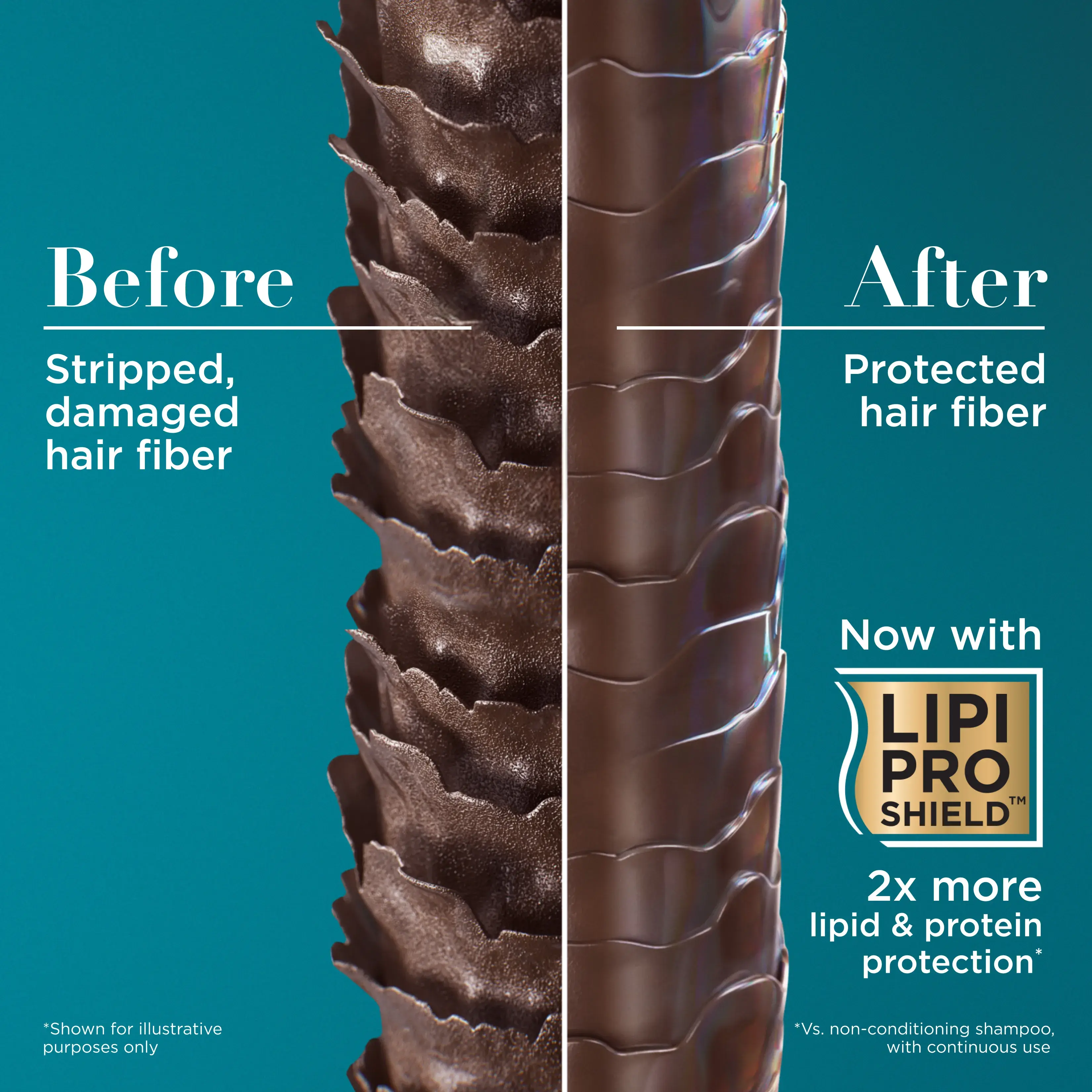 Before: Stripped damaged hair fiber. After: Protected hair fiber now with Lipi Pro Shield™ 2X more lipid & protein protection