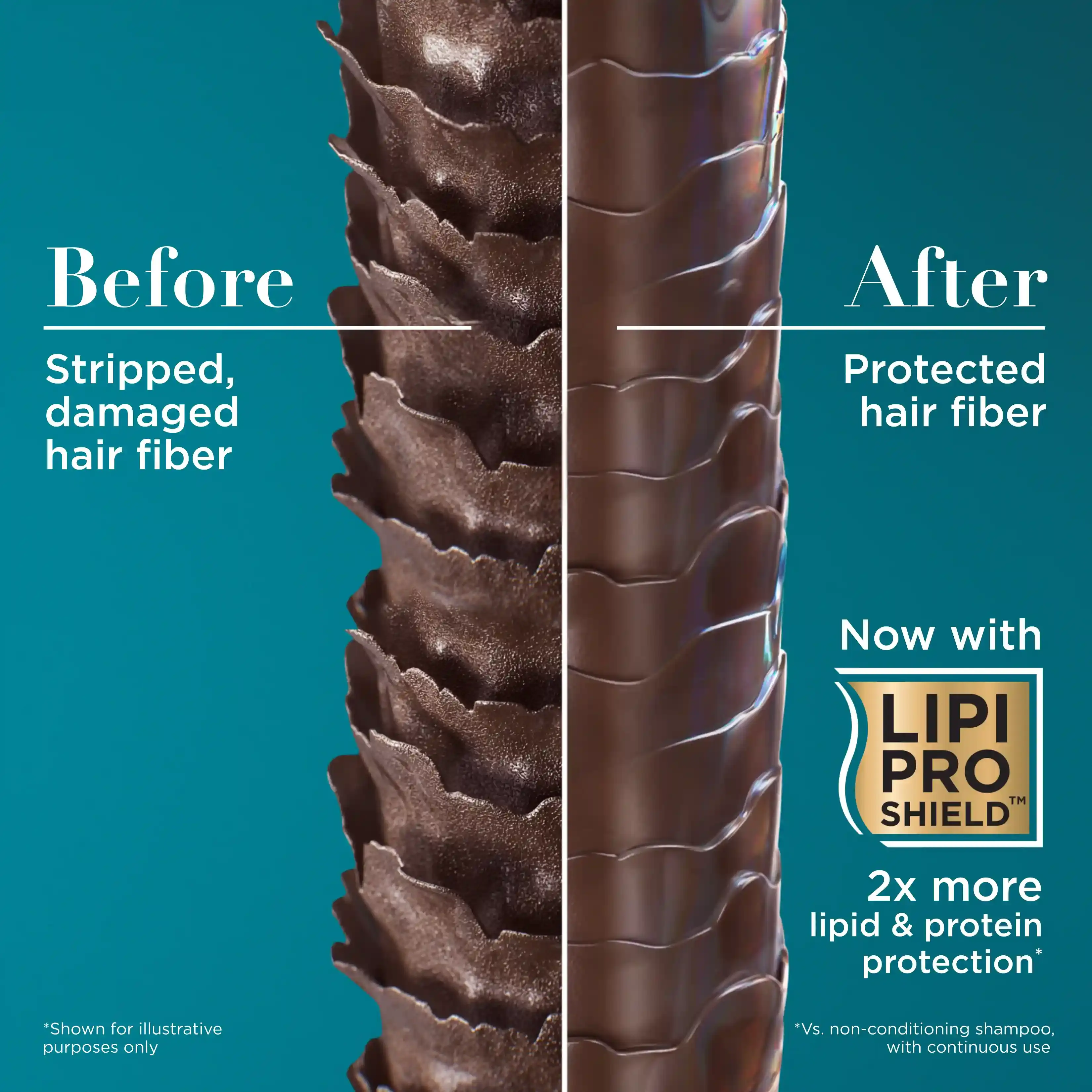 Hair fiber graphic shows damaged before and protected after with OGX® LIPI PRO SHIELD