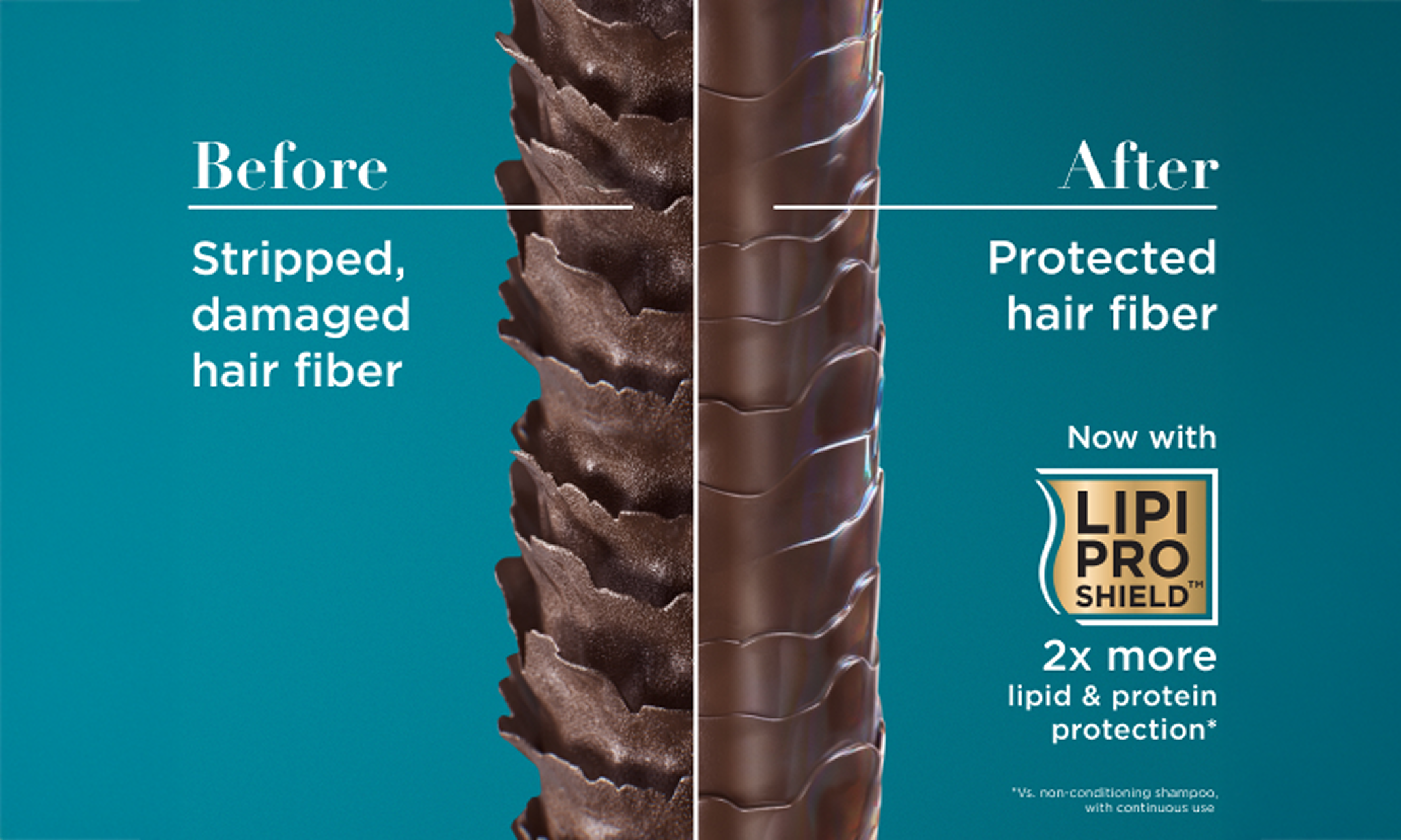 Before: Stripped damaged hair fiber. After: Protected hair fiber now with Lipi Pro Shield™ 2X more lipid & protein protection