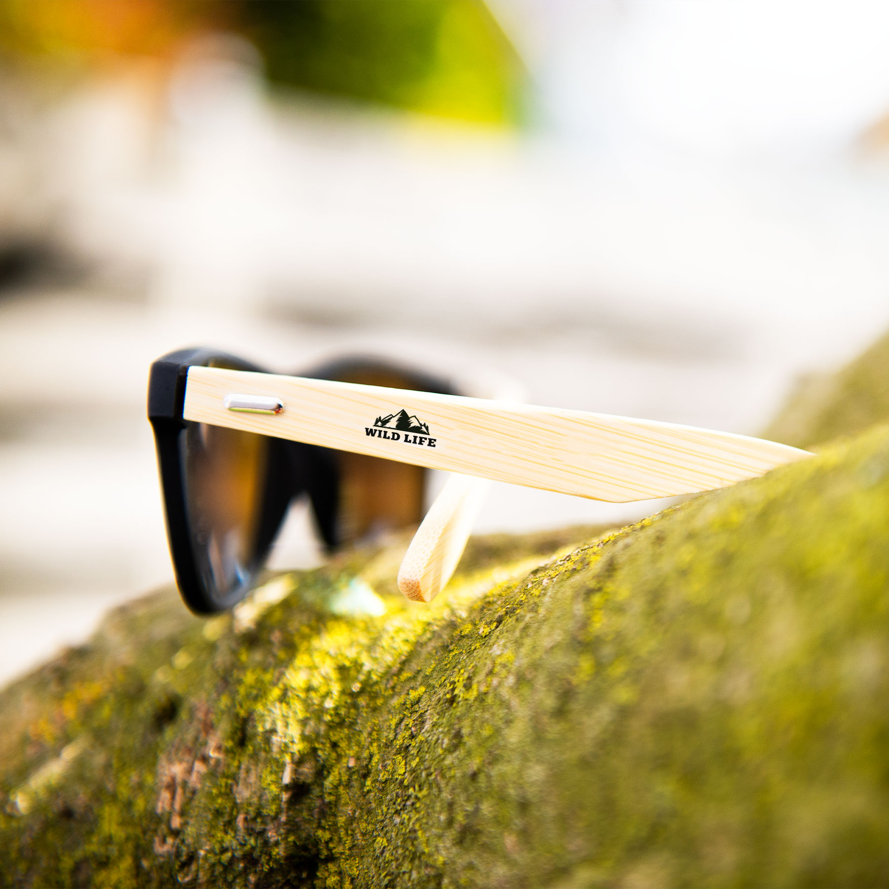 Zonnebrillen-boomstam