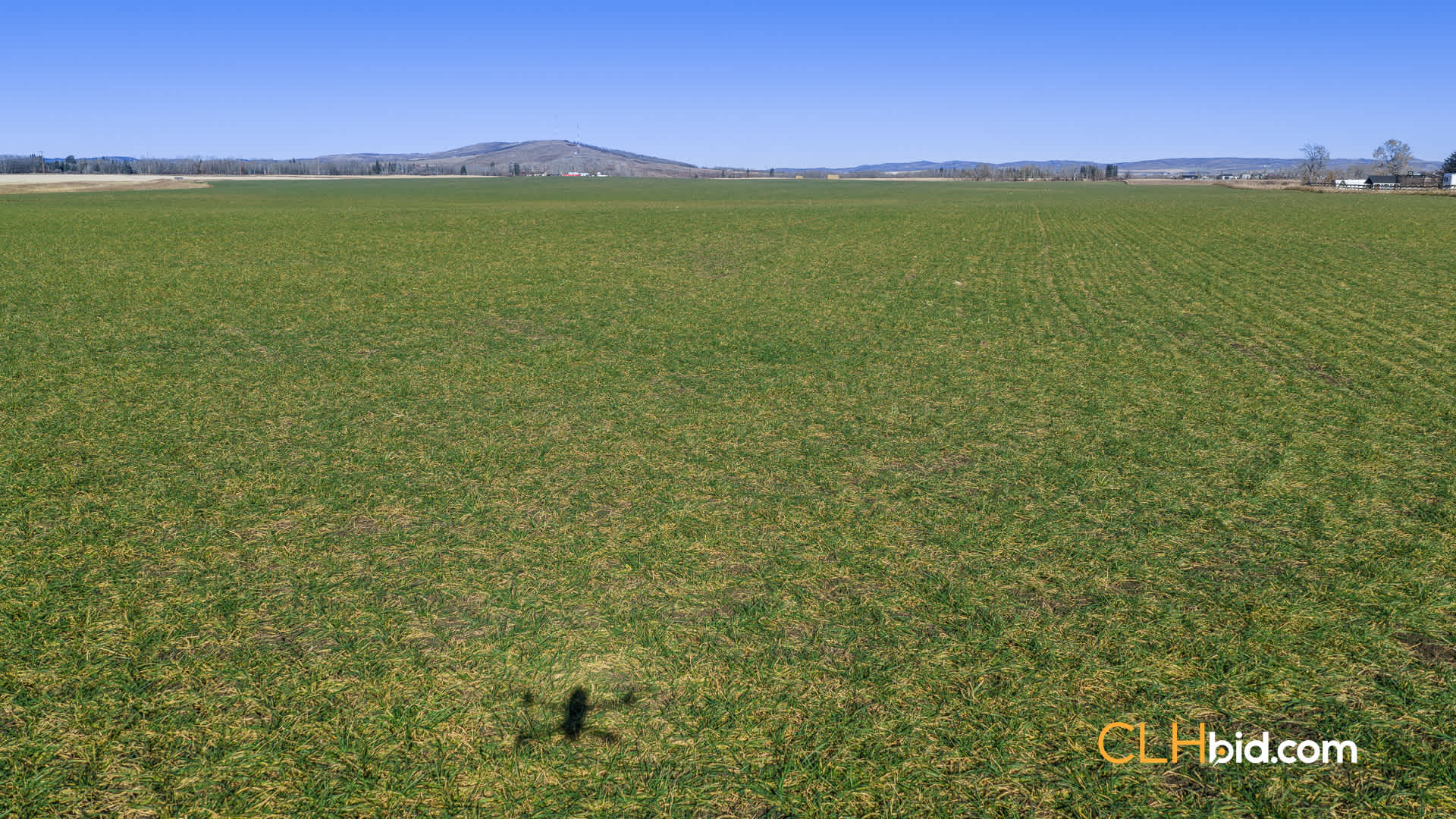Web-Foothills-19