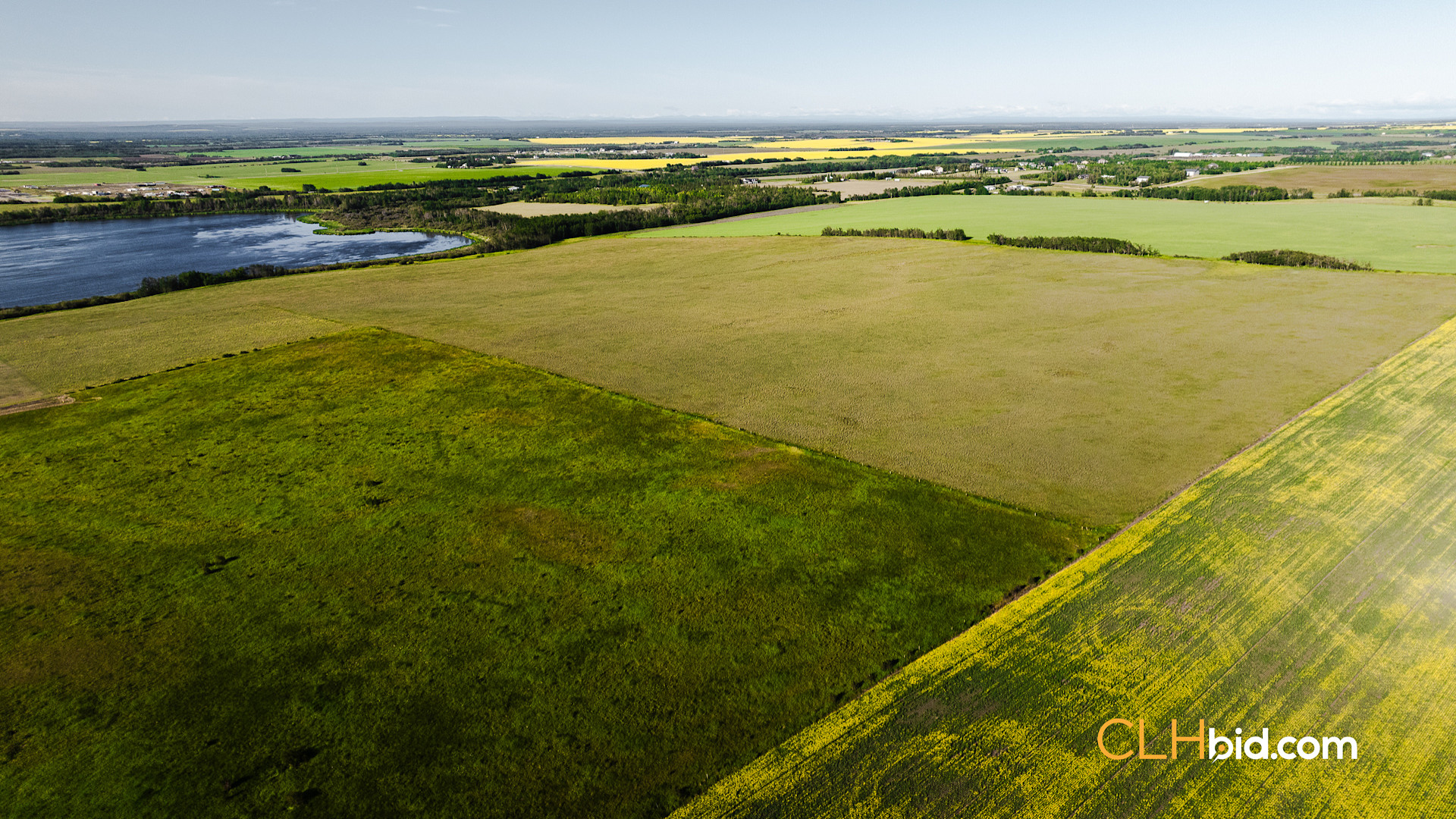 Web Rare Opportunity Dimsdale-2