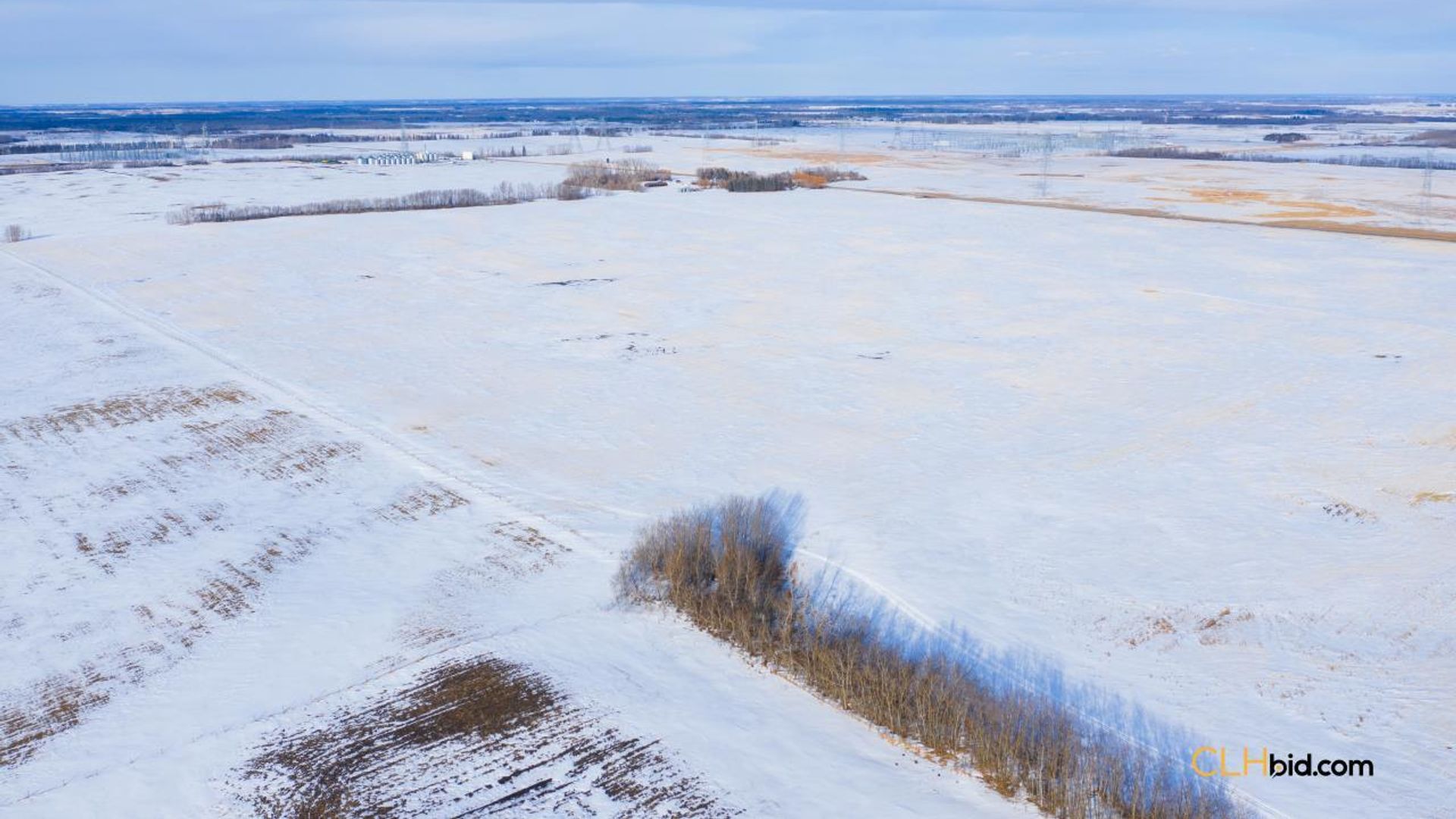 emeraldatgibbons-1-2