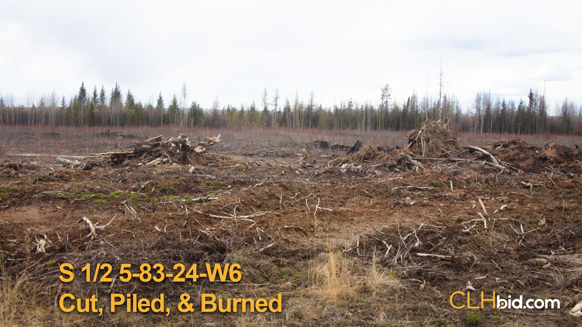 8142-SH-5-83-24-W6-Cut-piled-burned