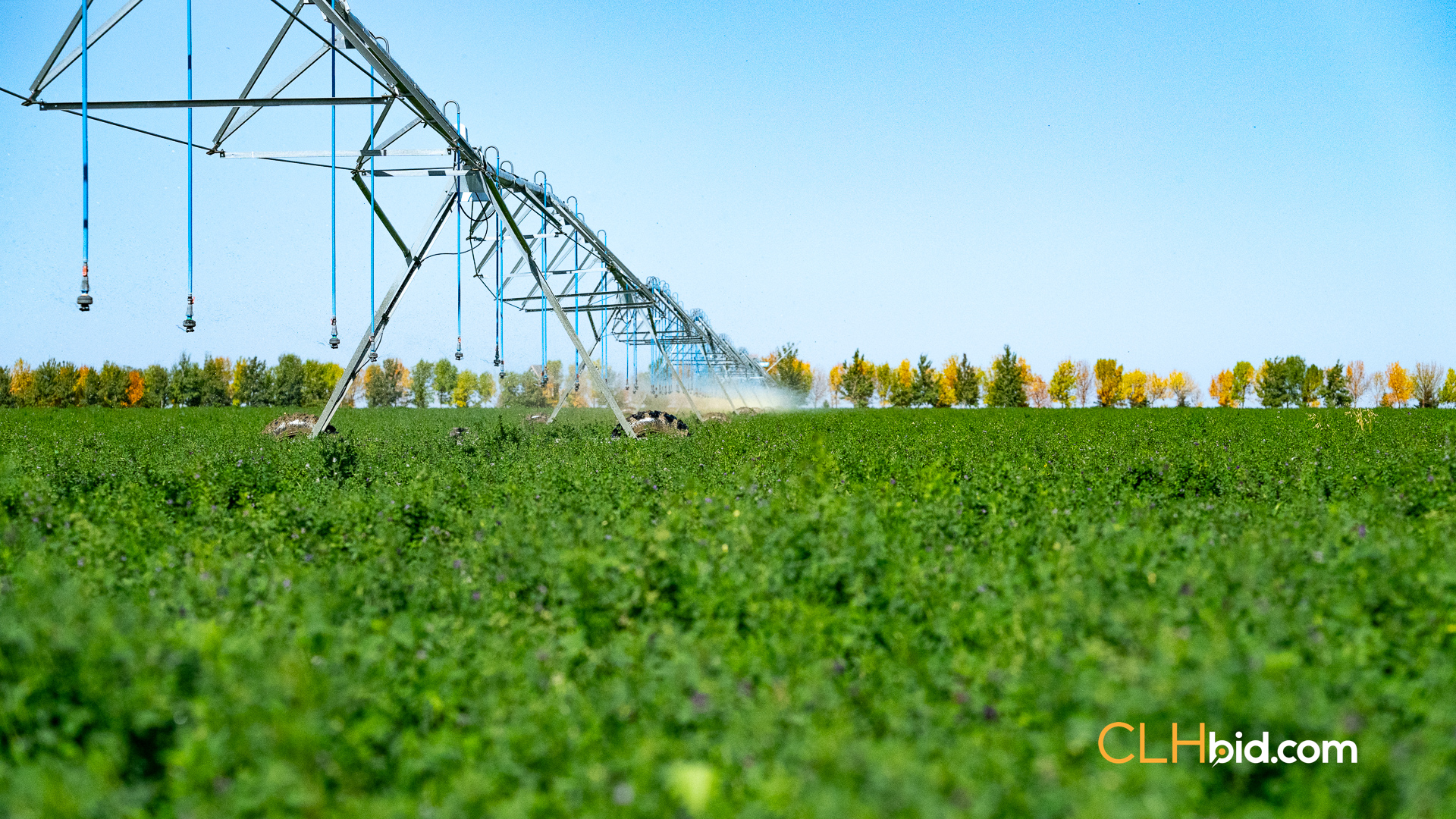 Web-MegaFortyMile-71