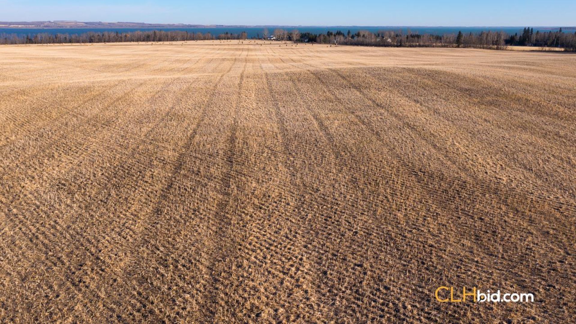 bentleycontinentalv8-6-8