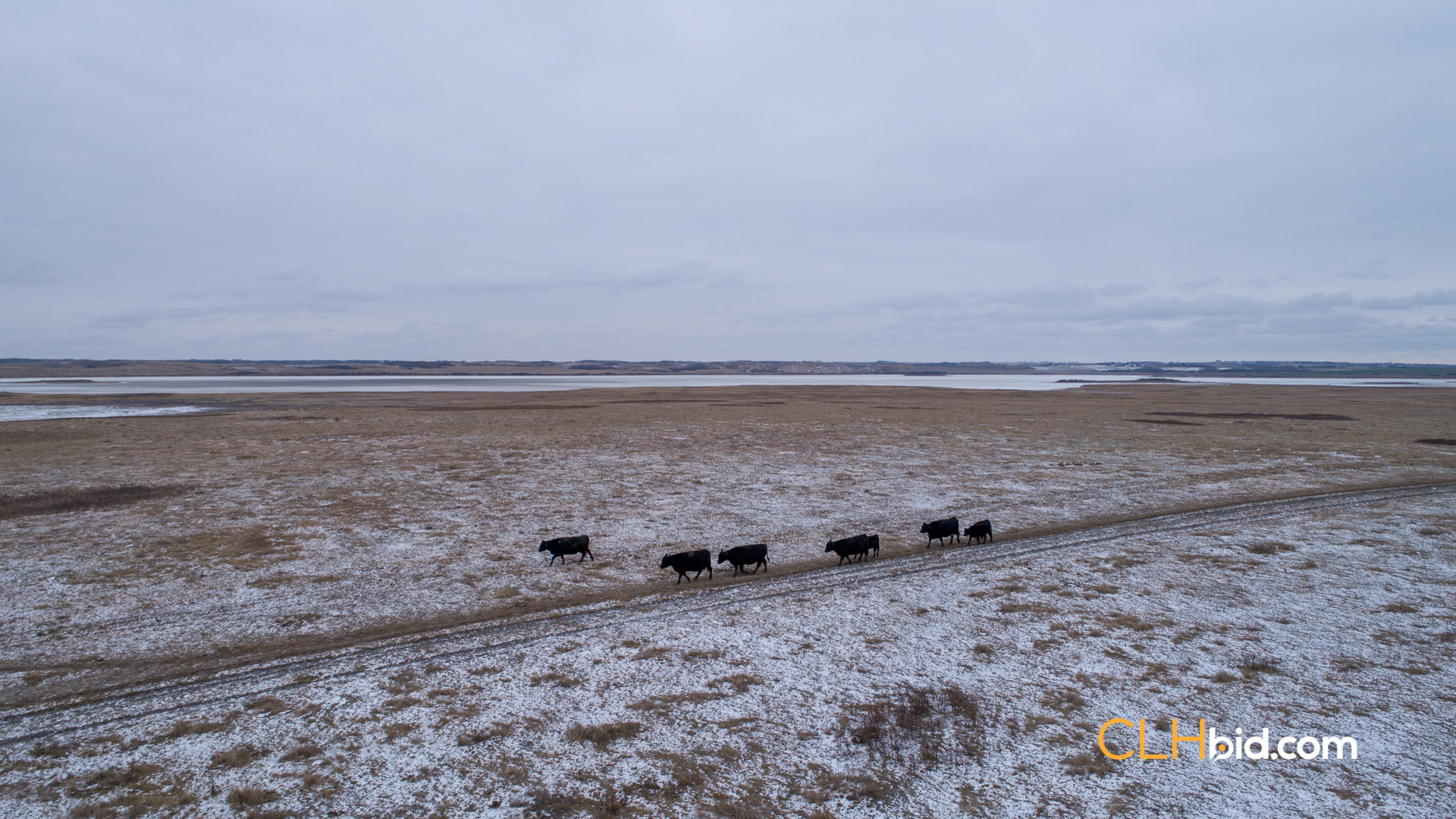 Web-Burke-Lake-Bonanza-33