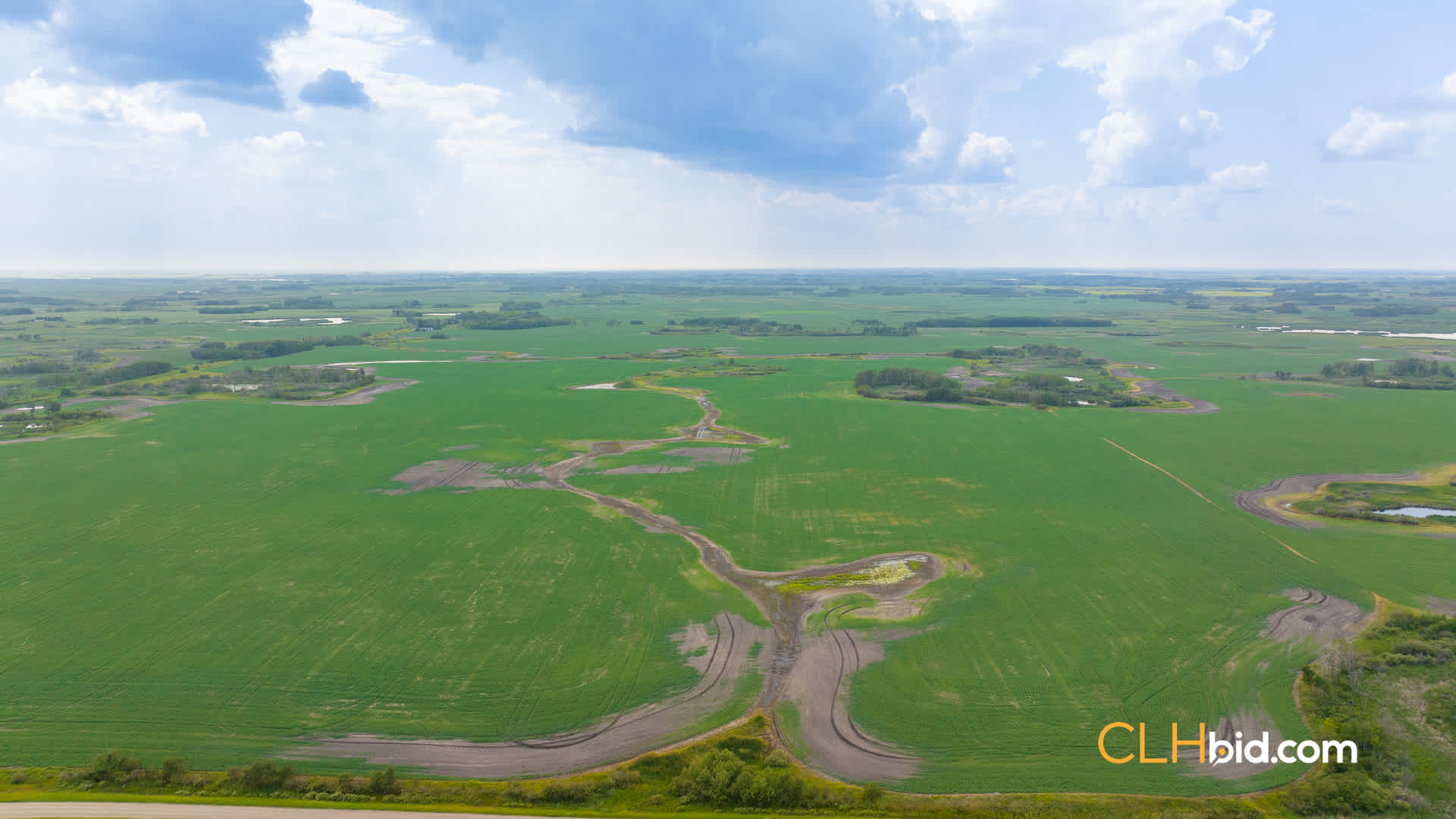 Web-ShoalLake-24