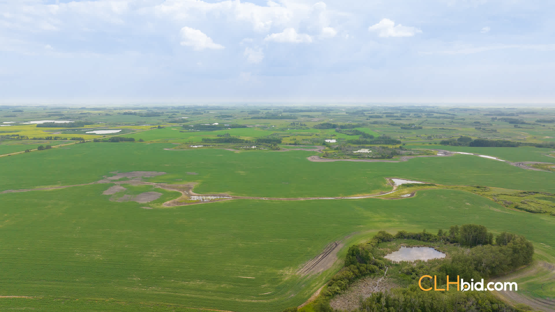 Web-ShoalLake-23