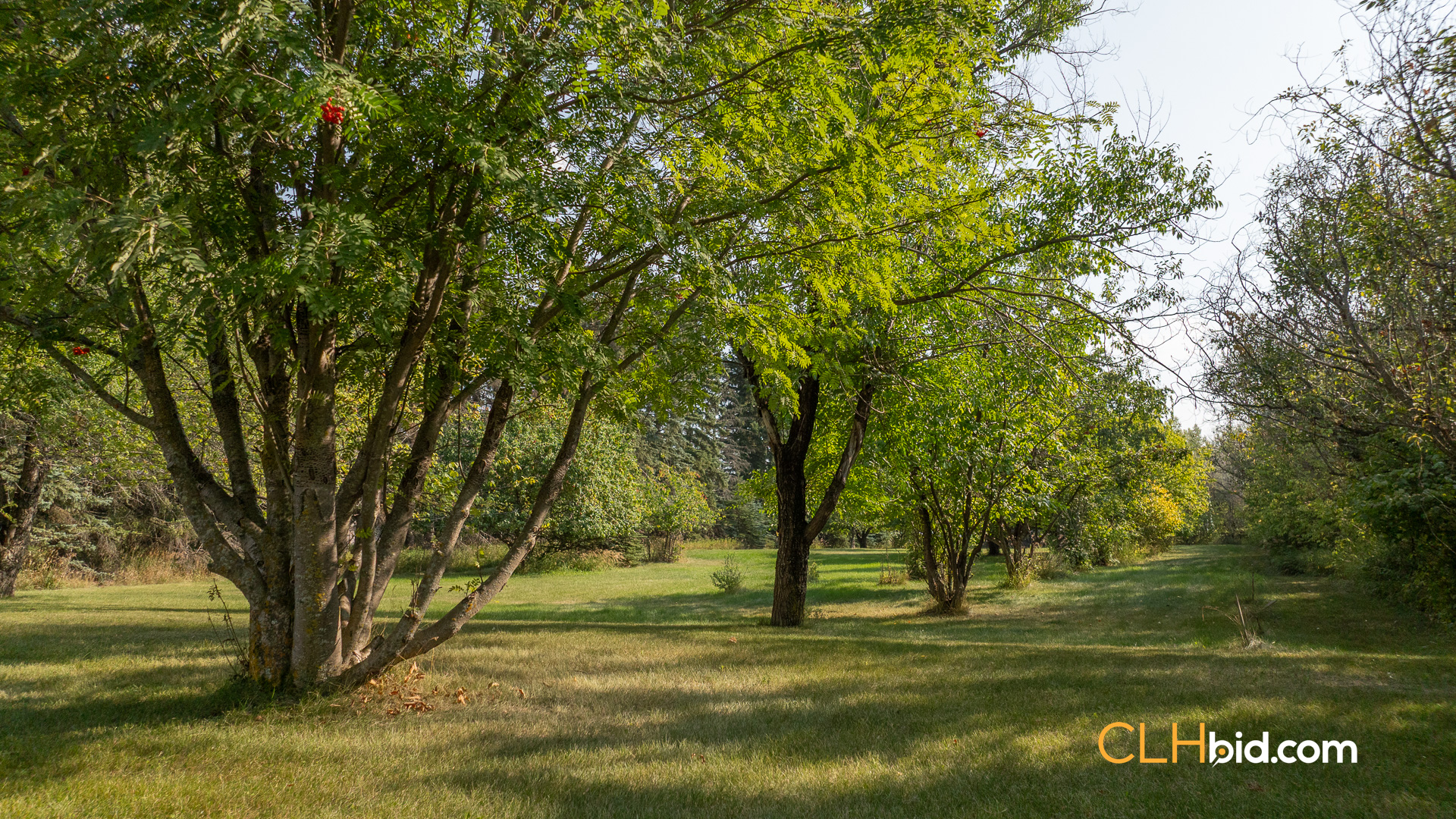 Web-SmallTownCharm-3