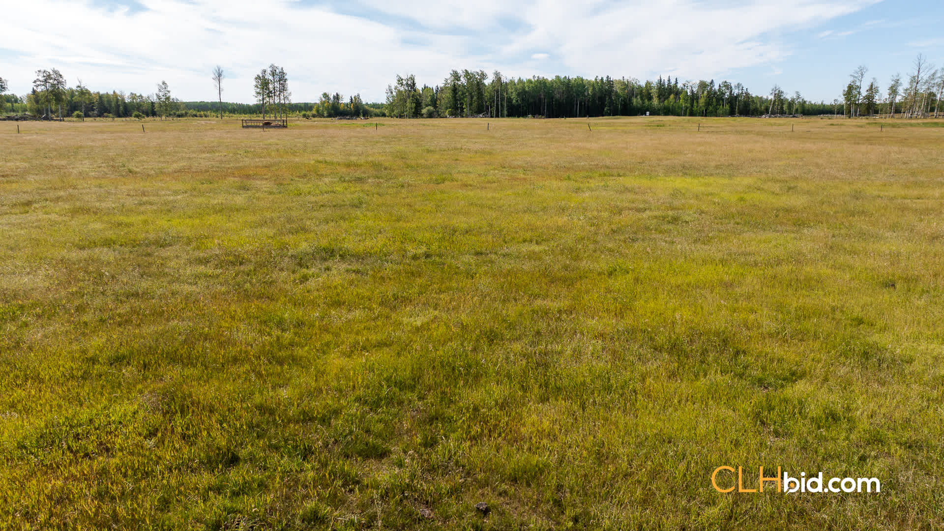Web Peace Country Rancher-28
