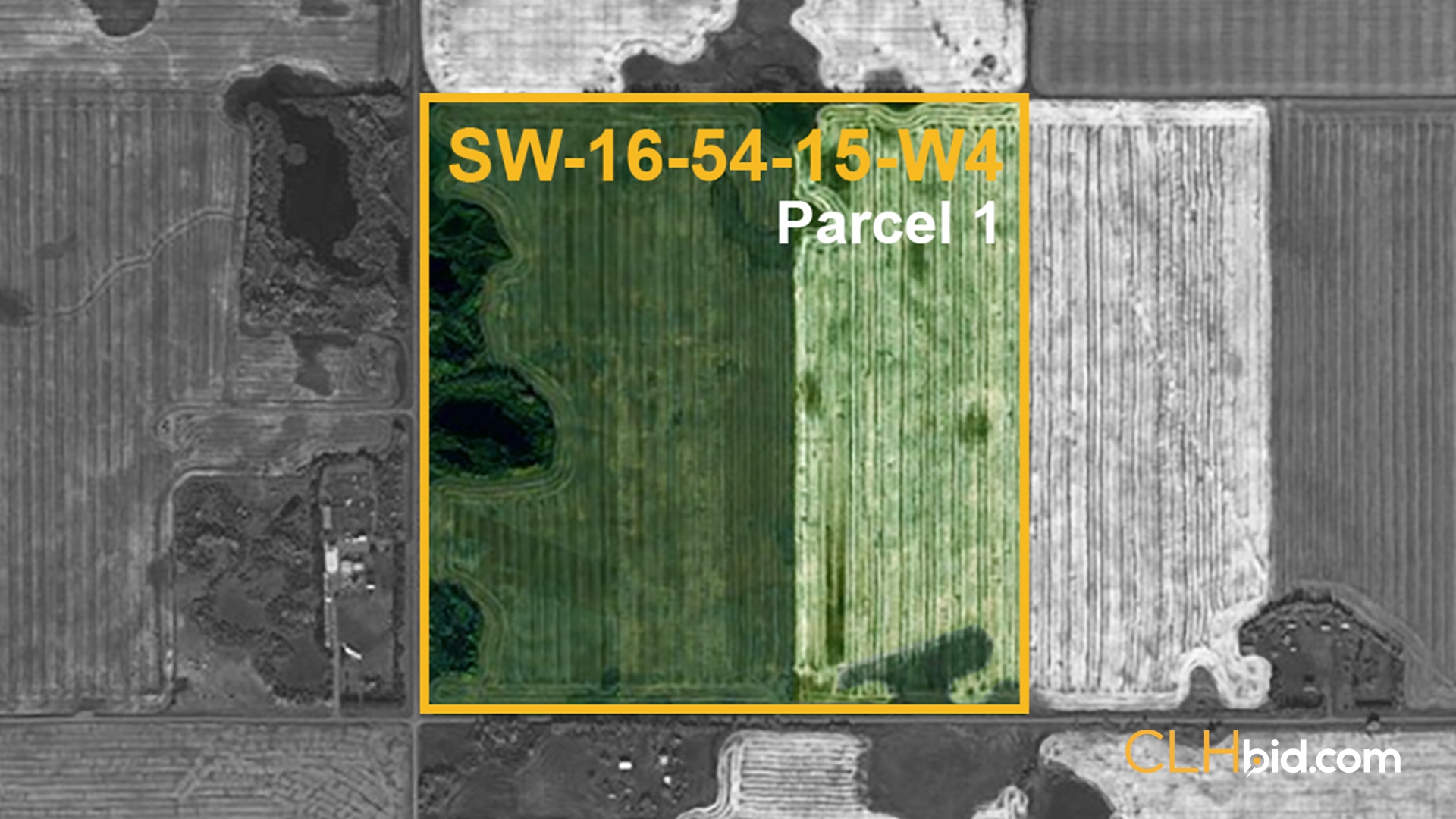 Two Hills Enhancer P1