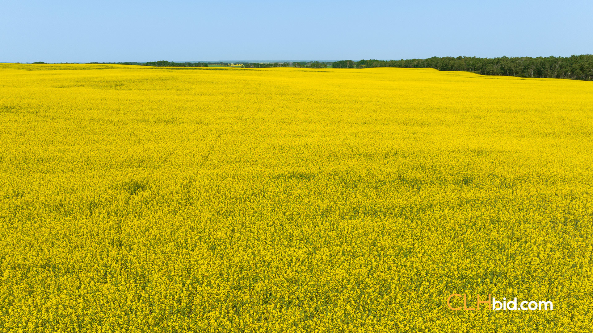 Web-InnisfreeWideOpen-6