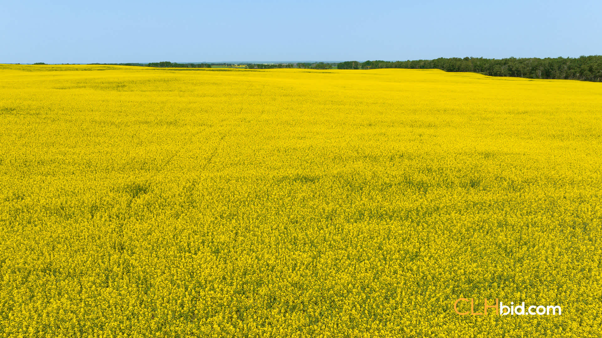 Web-InnisfreeWideOpen-6
