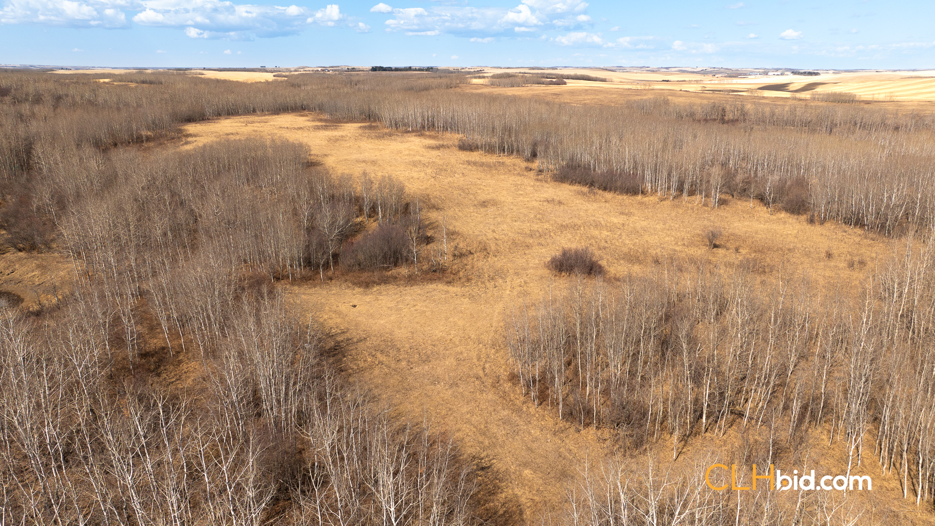 Web-VermilionSiesta-11