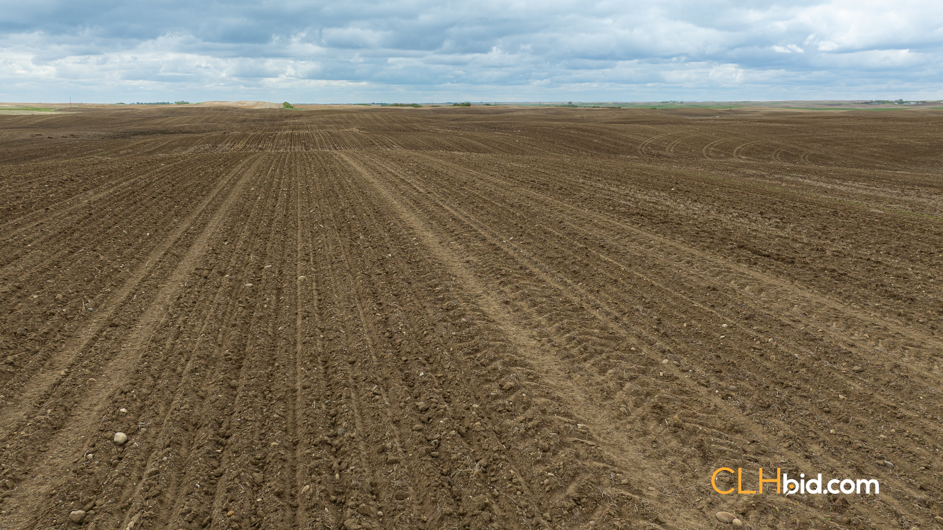 Web-LegacyMoveNEW-36