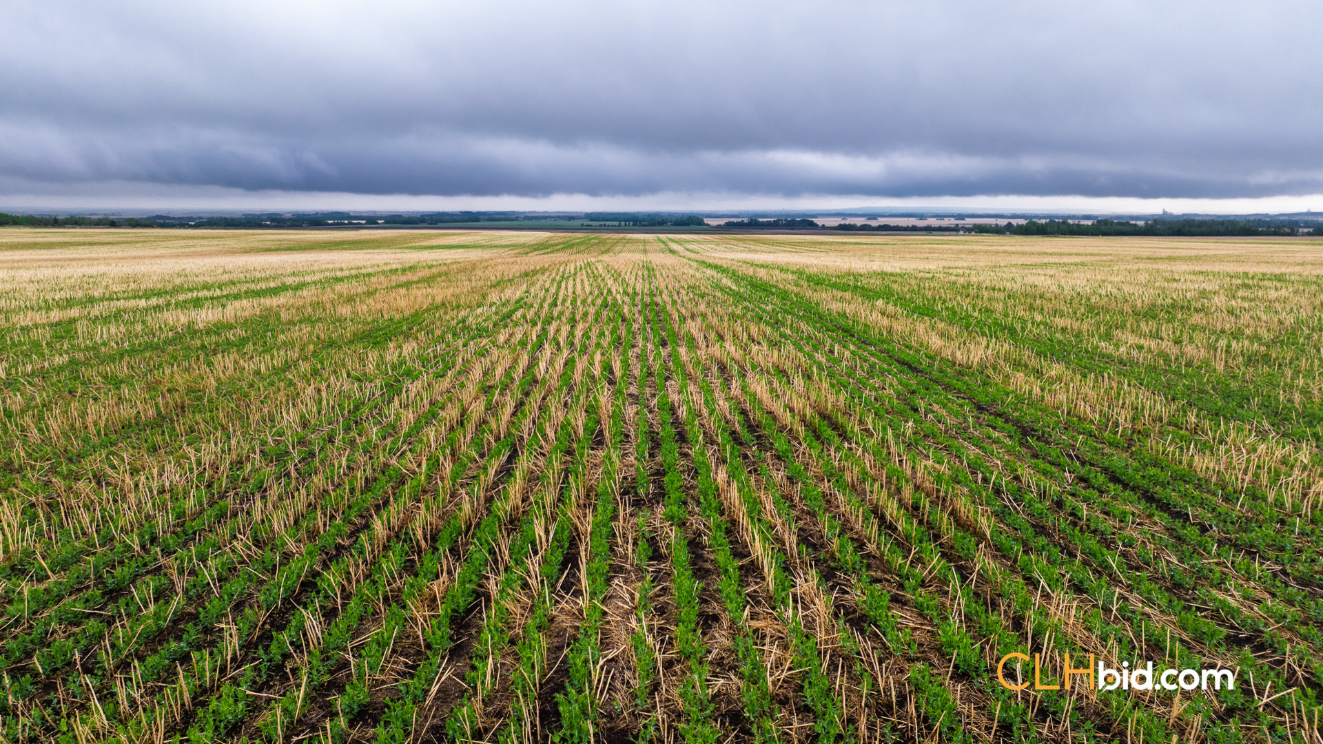 Web Spirit River Highpoint-9