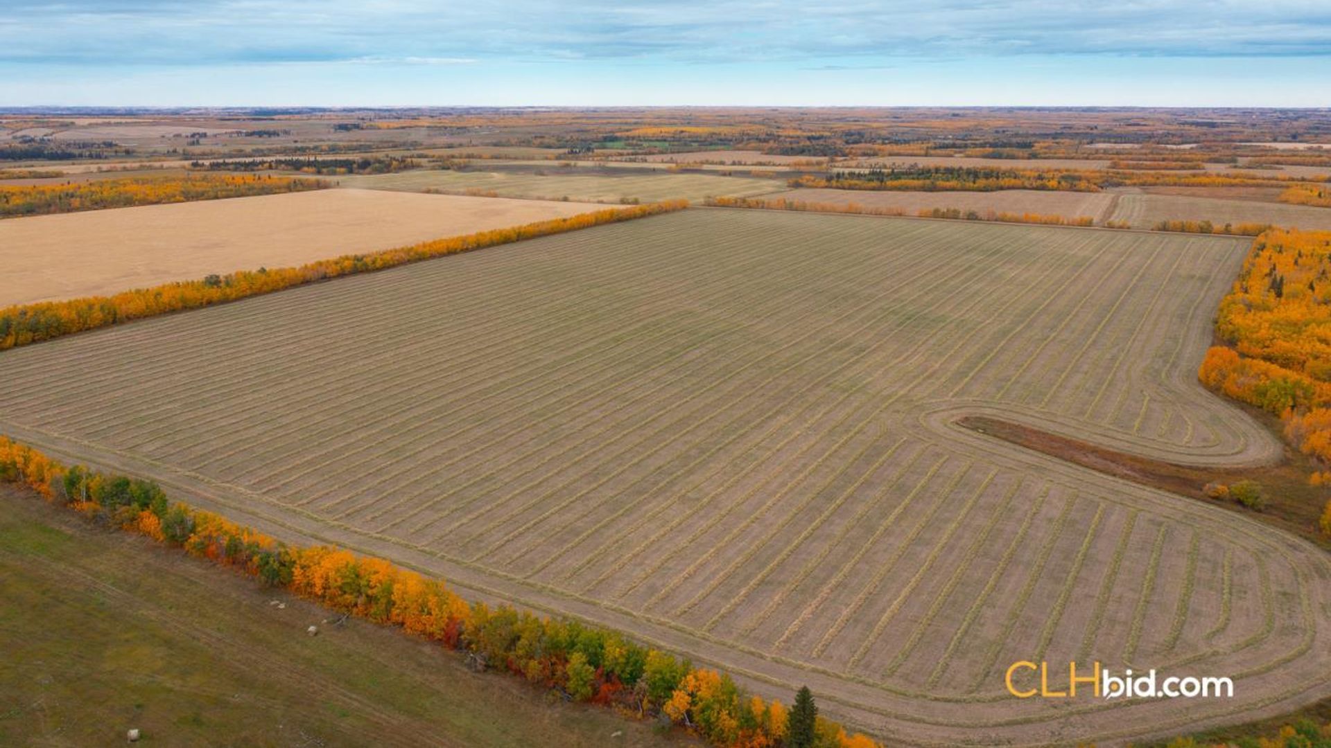 thevilnaheritagefarm-1-2