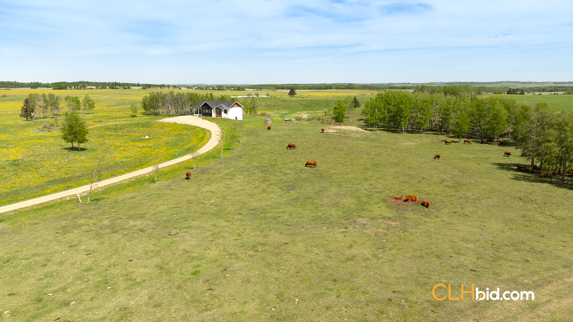 Web-CochraneDynastyJune-14