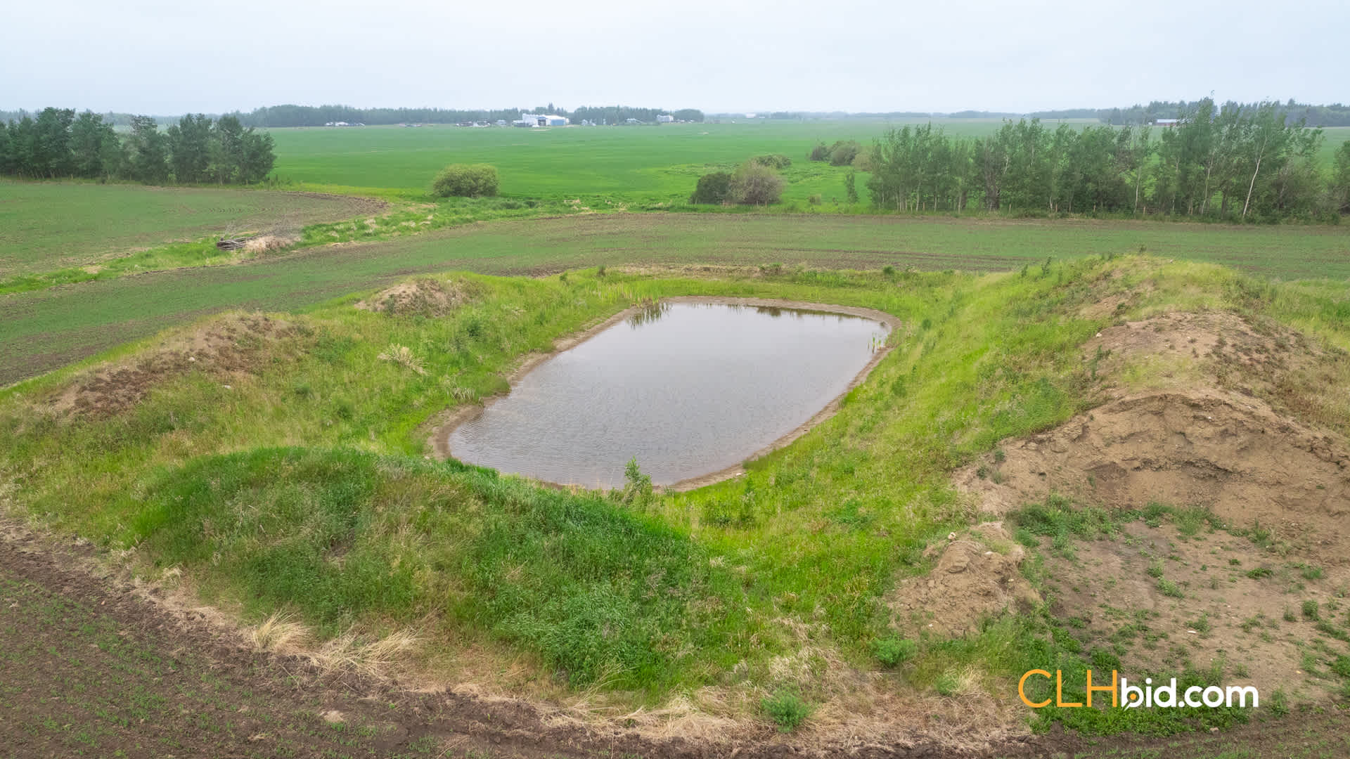 Web-Calmar-15