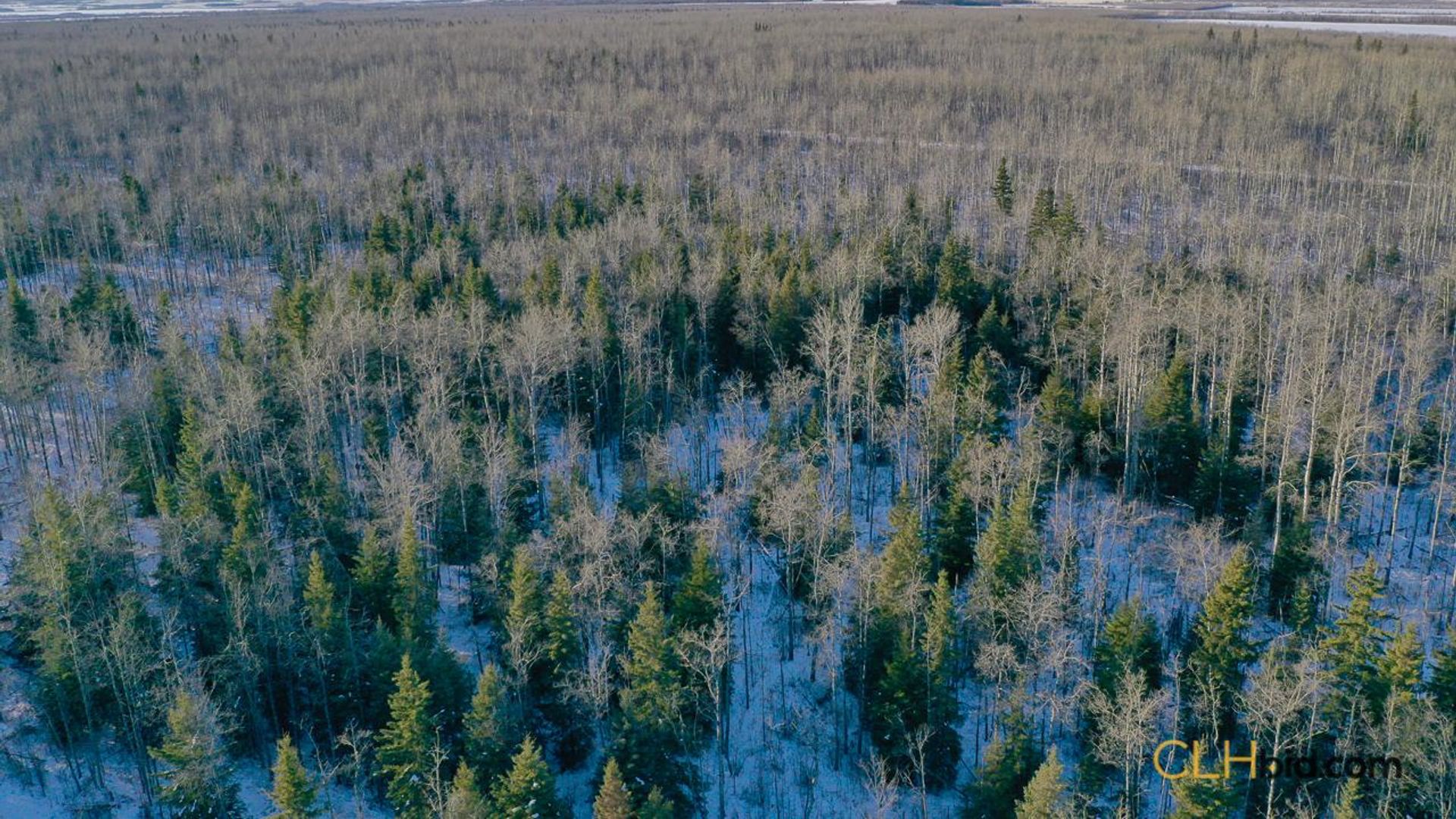 dreamershalfmile-1-17