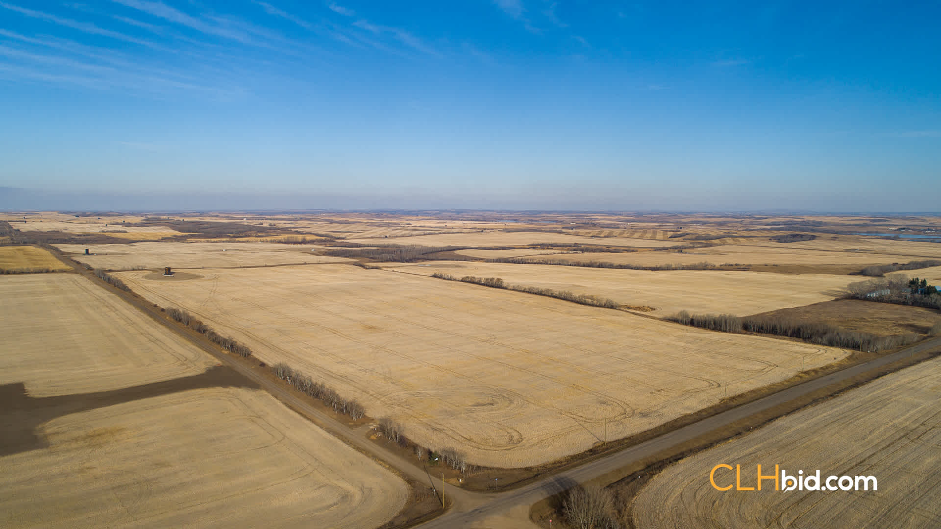 Web-Nine-Of-Diamonds-7