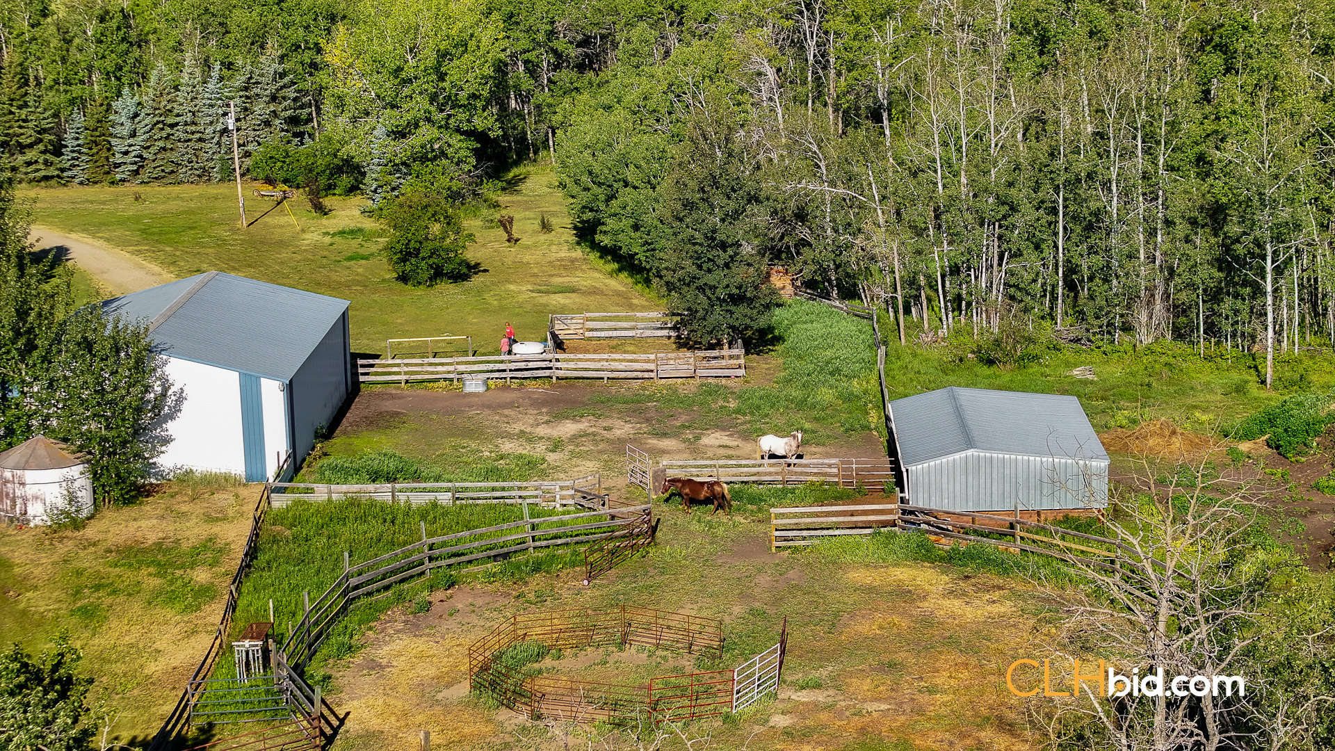 Web Rustlers Roost-5