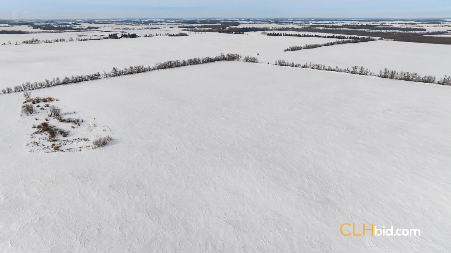 Web-LamontTopGrade-23