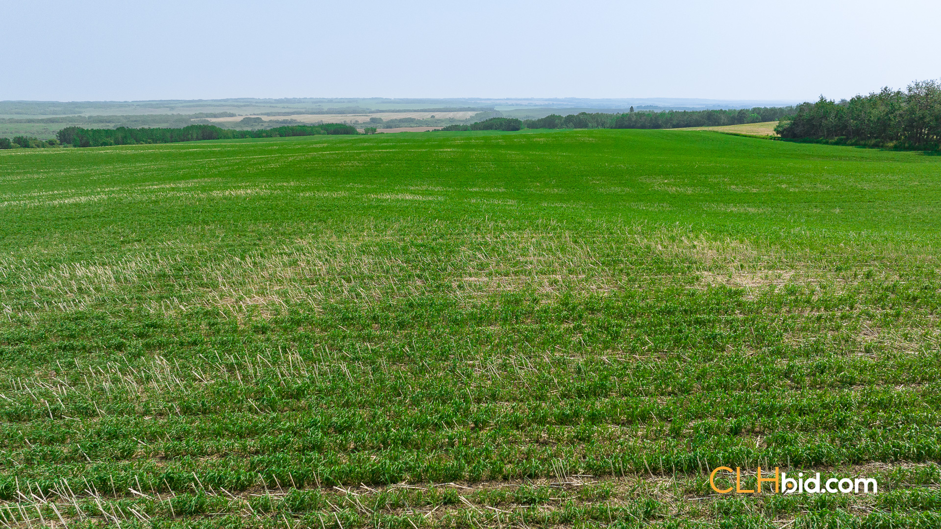 Web-Innisfree8Summer-46