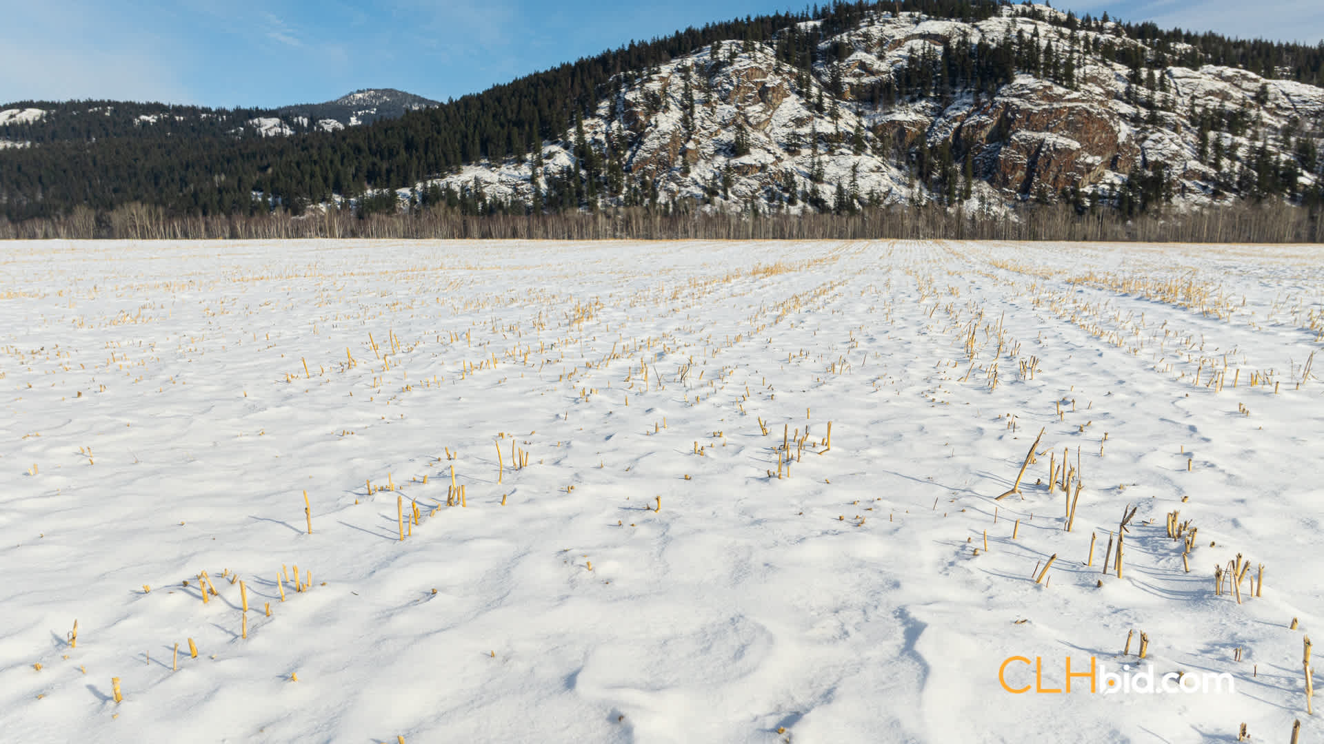 Web-LittleFort-13
