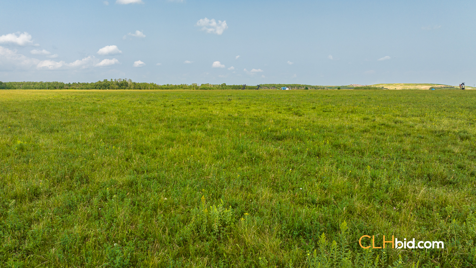 Web-Virden-Select-20