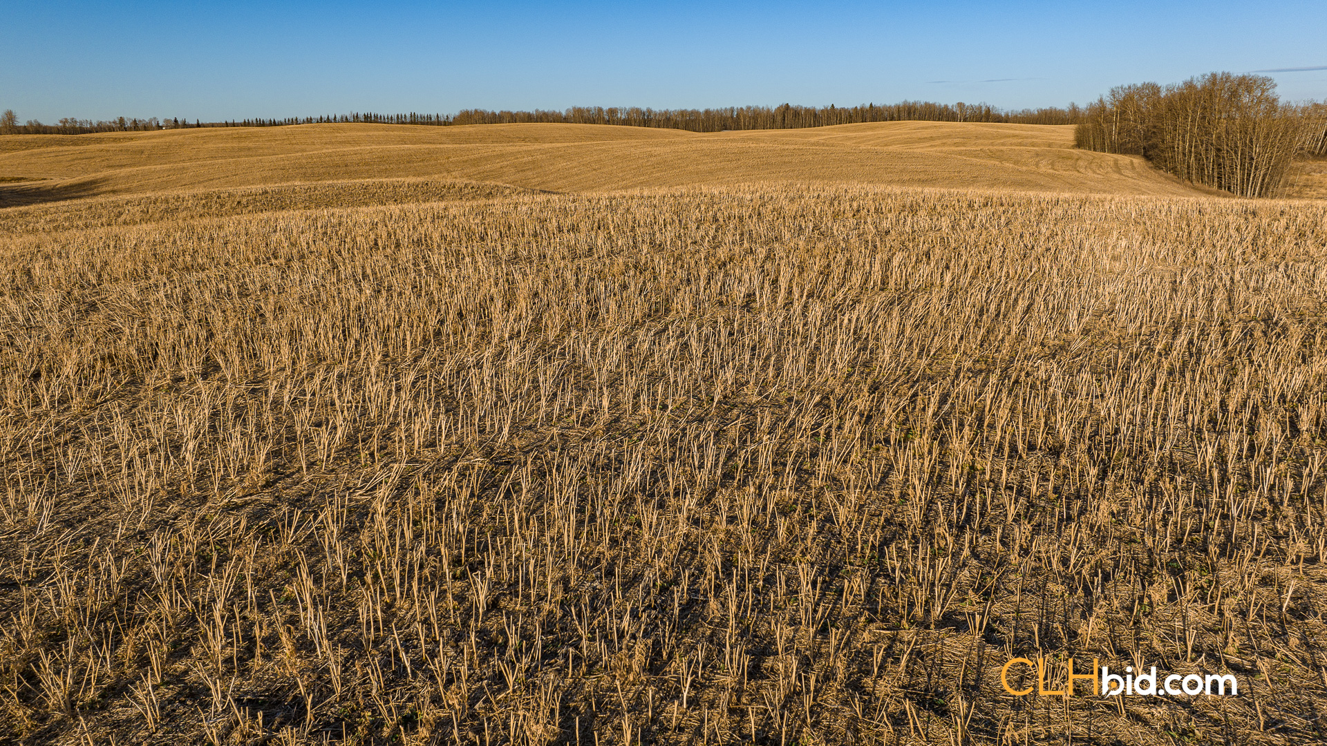 Web-ParklandPrize-12