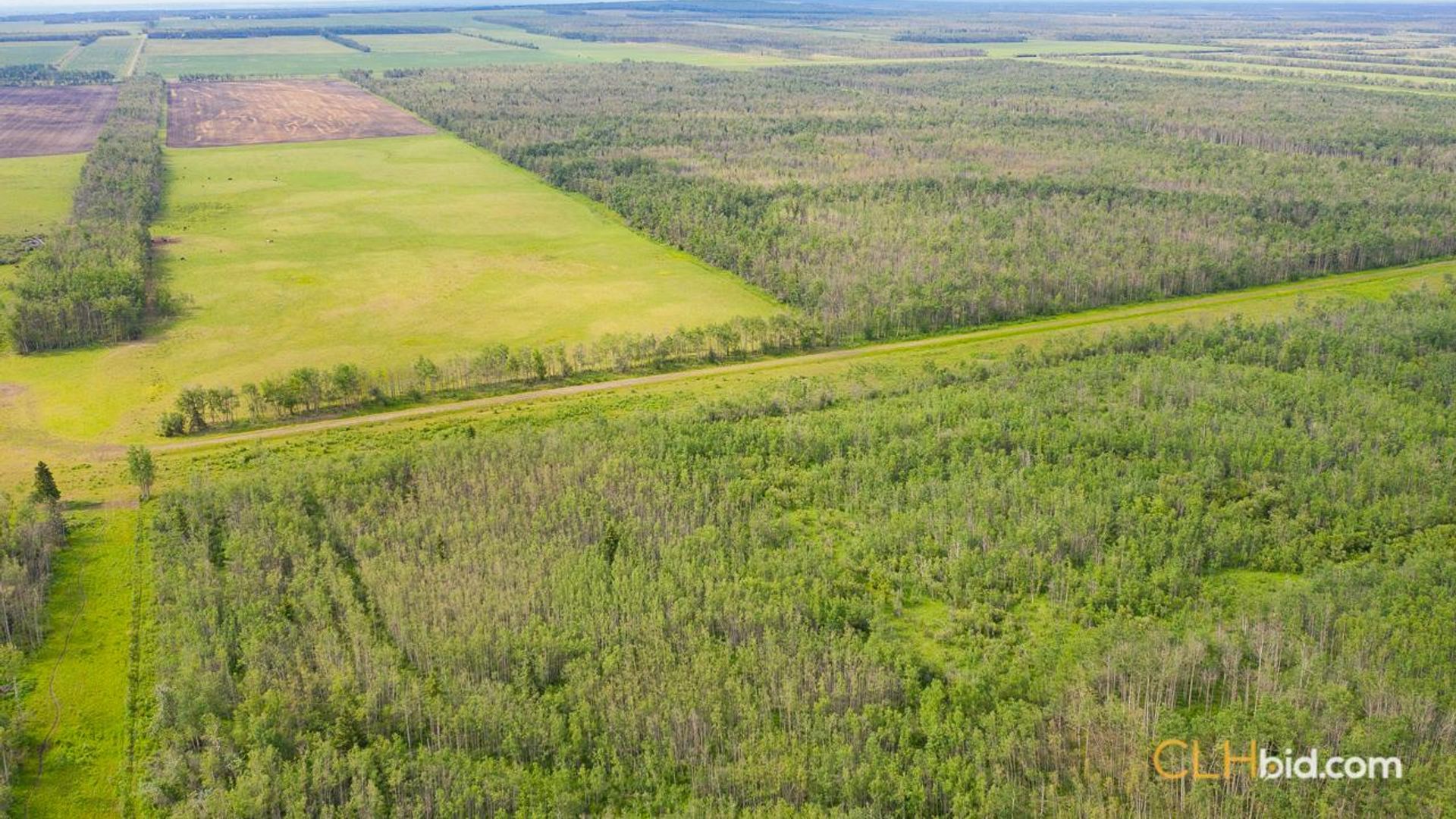 silvervalleydiamondintherough-3-2