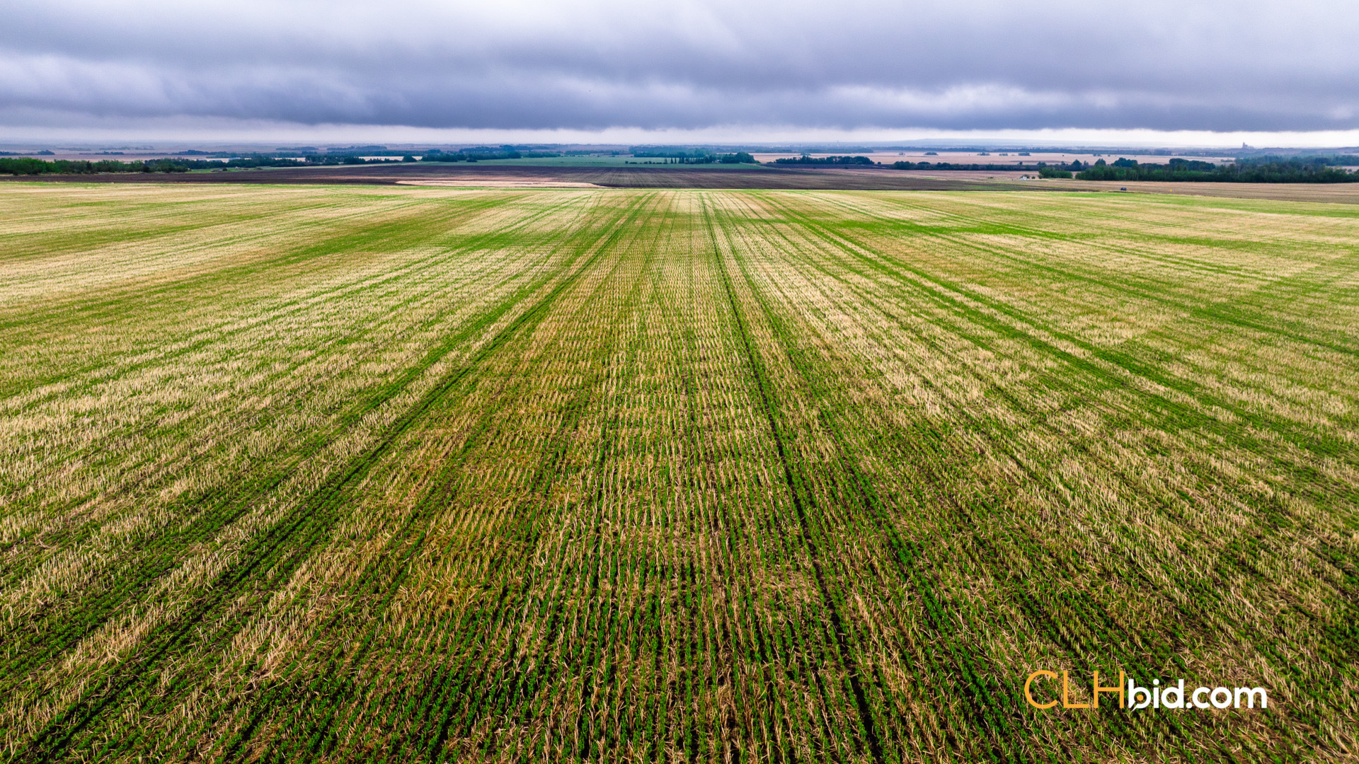 Web Spirit River Highpoint-8