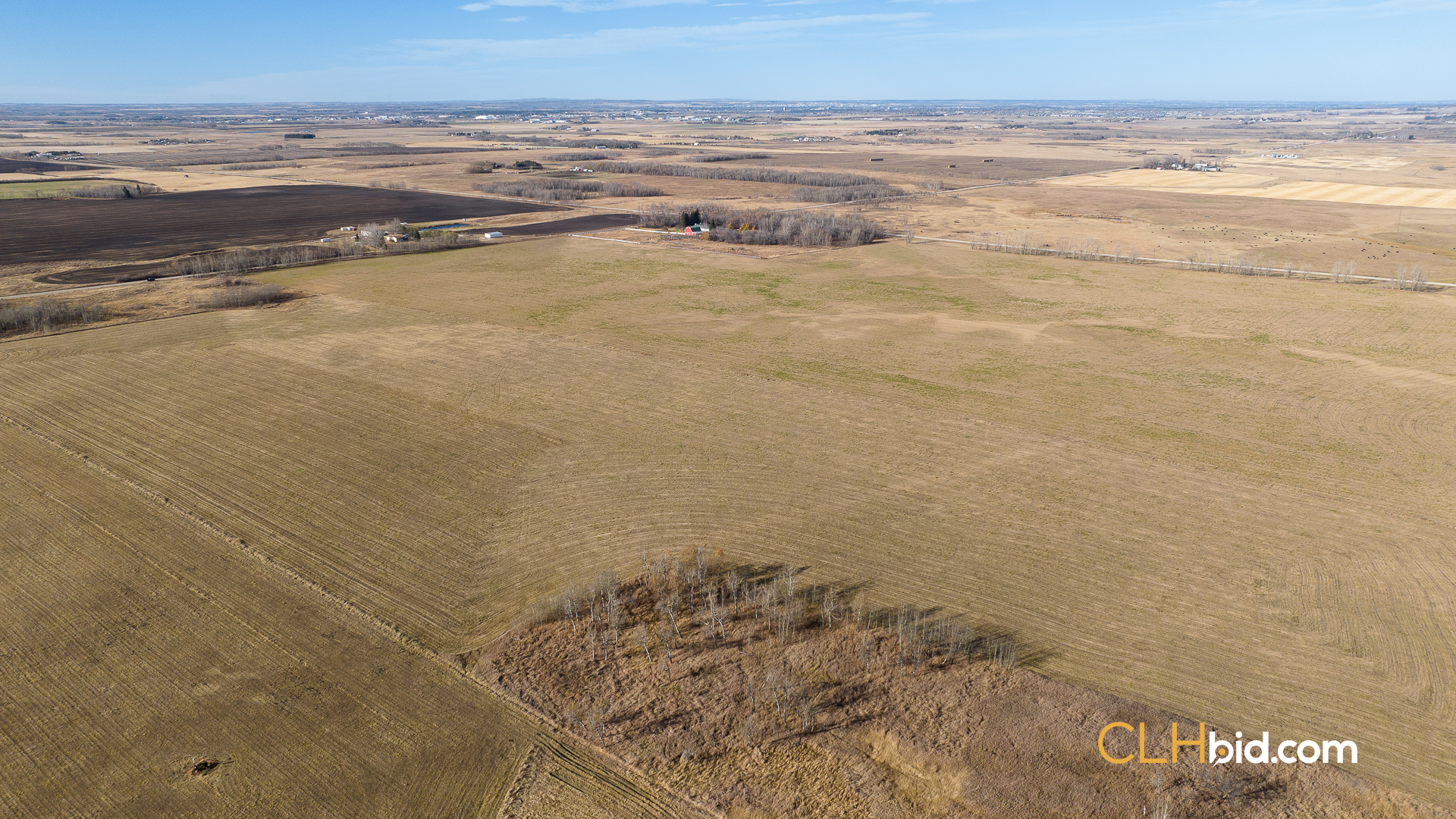 P2 EliteStatusWeb-23